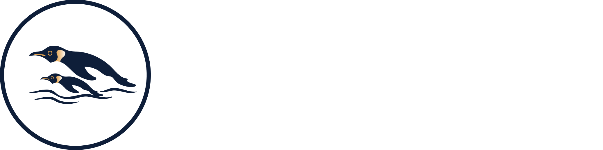 Schwimmschule Kaiserpinguin